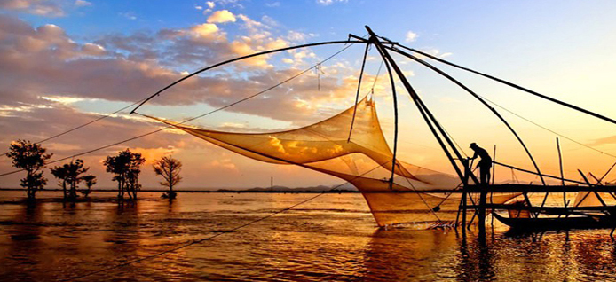 Mekong Delta, rice fields floating on the river of Nine Dragons